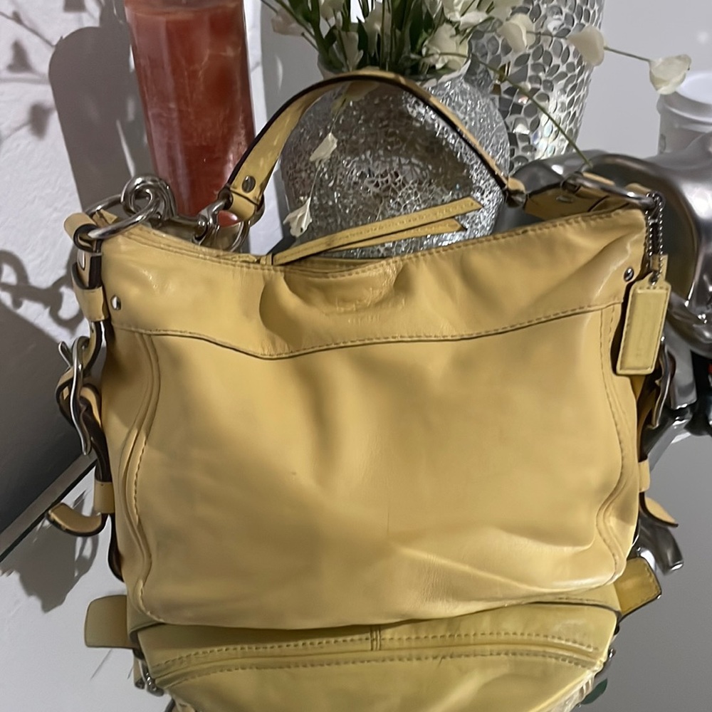 COACH ZOE HOBO